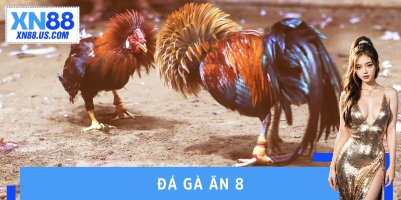 Đá Gà Ăn 8 - Chinh Phục Trận Đấu Trực Tuyến Với Giới Hạn Mới