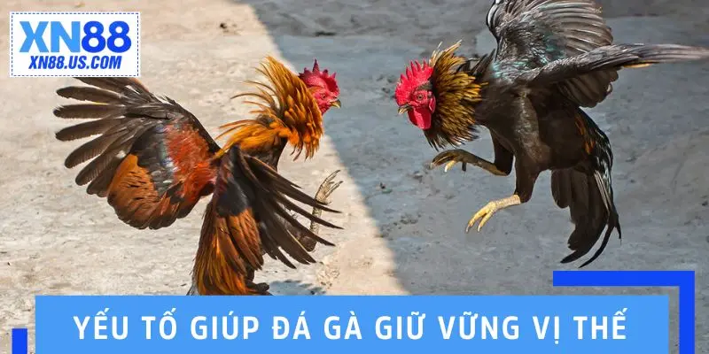 Đâu là yếu tố giúp đá gà XN88 giữ vững vị thế dẫn đầu thị trường