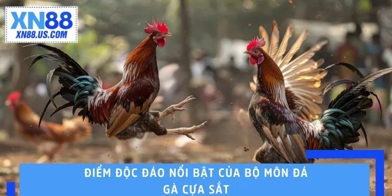 Điểm độc đáo nổi bật của bộ môn đá gà cựa sắt