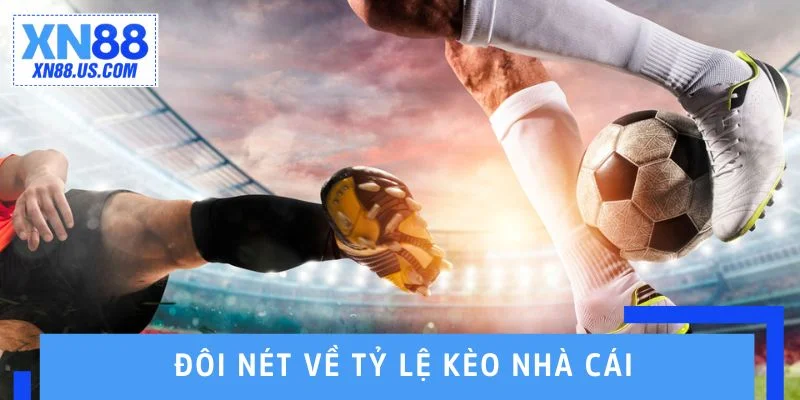 Đôi nét về tỷ lệ kèo nhà cái