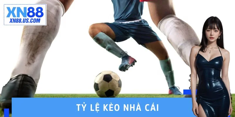 Tỷ Lệ Kèo Nhà Cái - Bí Quyết Nhận Biết Kèo Dễ Thắng 2025