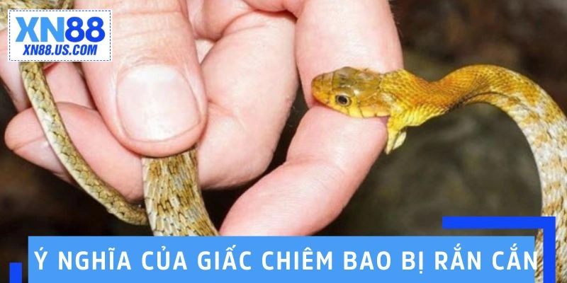 Ý nghĩa của giấc chiêm bao bị rắn cắn