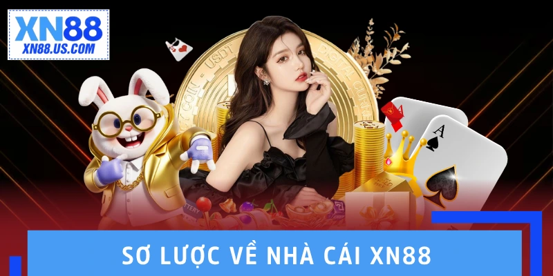 Sơ Lược Giới Thiệu XN88: Sự Lựa Chọn Hoàn Hảo 